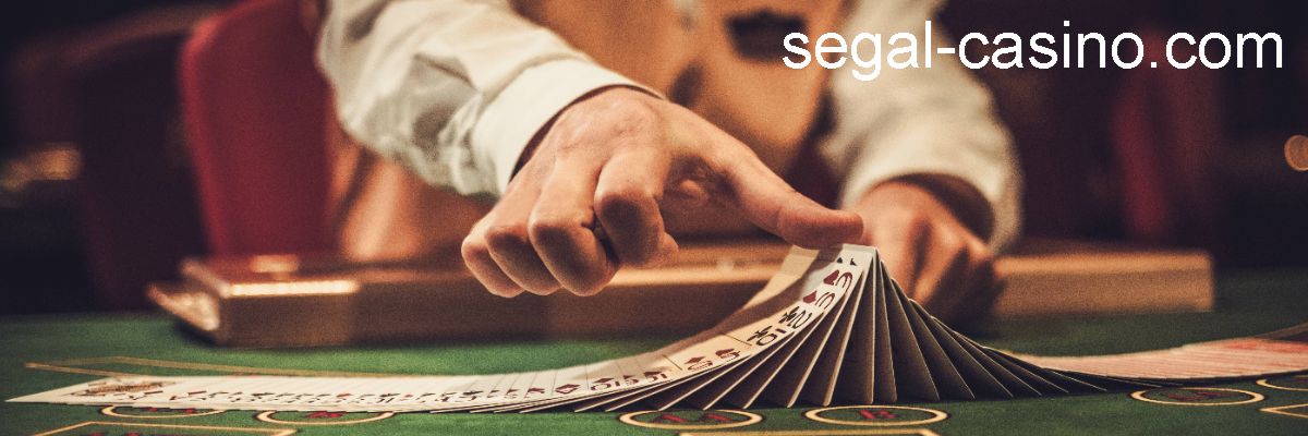 segal-casino.com